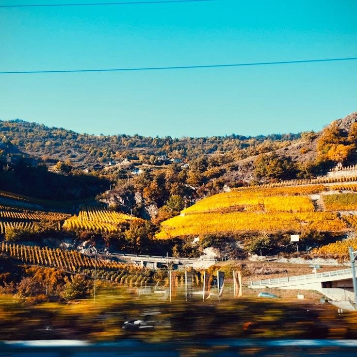 Family terraces and cafés for calm evenings in Toronto